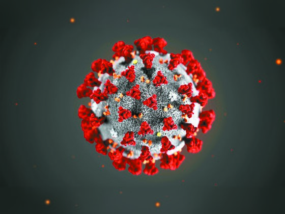 코로나19의 모든 것] 1. 코로나19란? | 중앙일보