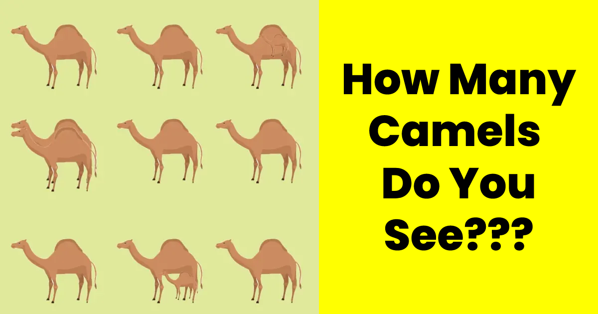 q5 1 1.png - 9 Out Of 10 People Can't Correctly Count The Number Of Camels! What About You?