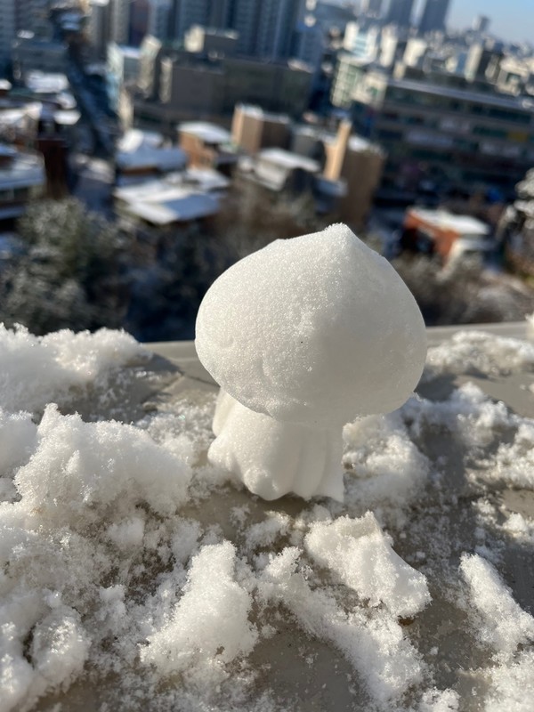 오늘 날씨] 목요일 충청·전라 폭설...강추위+한파특보 '14일까지' < 날씨 < 사회 < 기사본문 - 금강일보