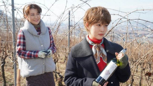 ムチャブリ!」ワイナリーのオーナー役で南野陽子がゲスト出演!「『私にも変われる瞬間があるかな』と思って見てもらえたら」【見どころインタビュー】(日テレTOPICS) - goo ニュース