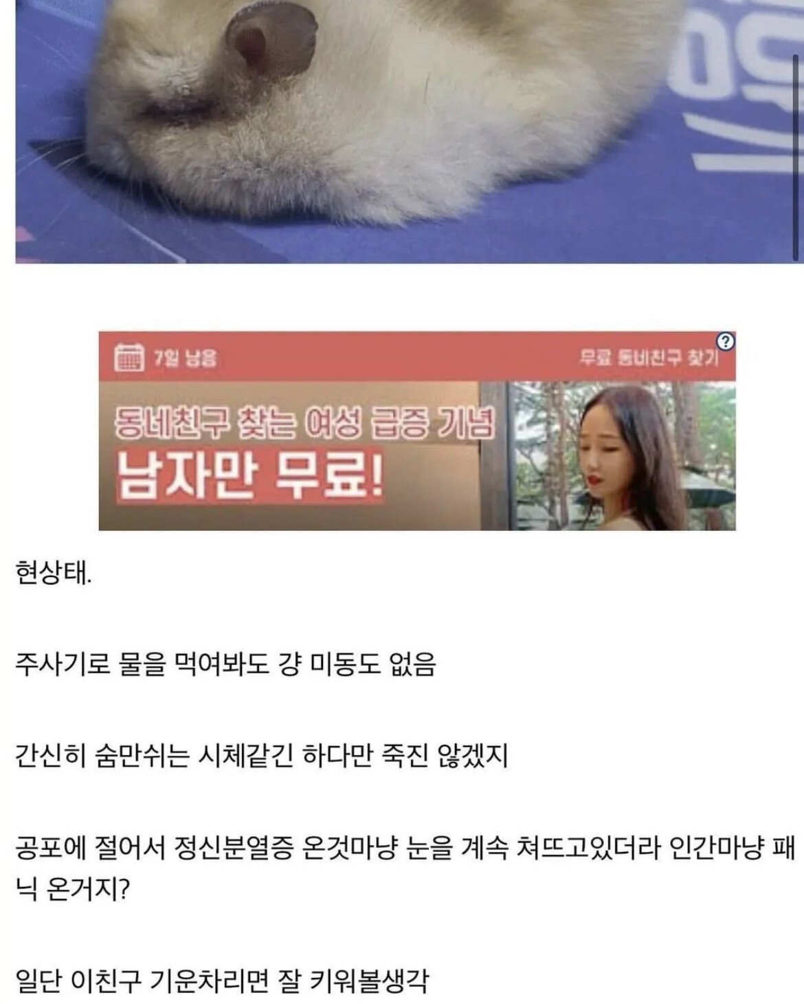 B83CD028-02FA-4684-99E8-B17AEB3E4A8C.jpeg 약혐) 자신이 키우는 햄스터를 고문하고 3시간 동안 방치한 디씨인.jpg