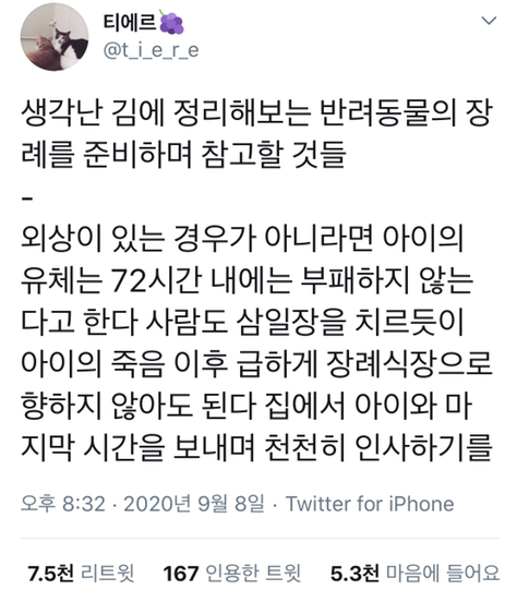 반려동물을 떠나보내기 전 주인이 준비해야 할 것들 -