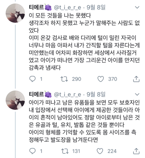 반려동물을 떠나보내기 전 주인이 준비해야 할 것들 -