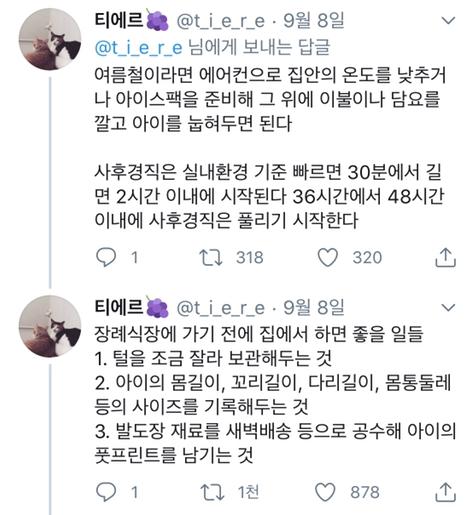 반려동물을 떠나보내기 전 주인이 준비해야 할 것들 -