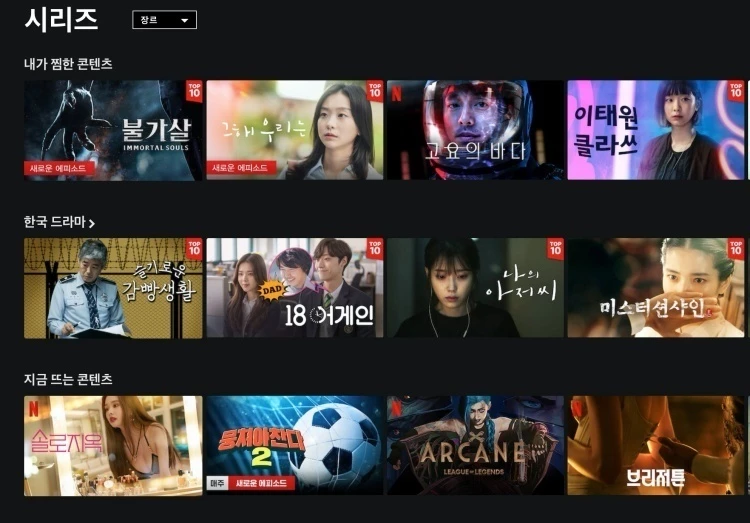 이하 넷플릭스