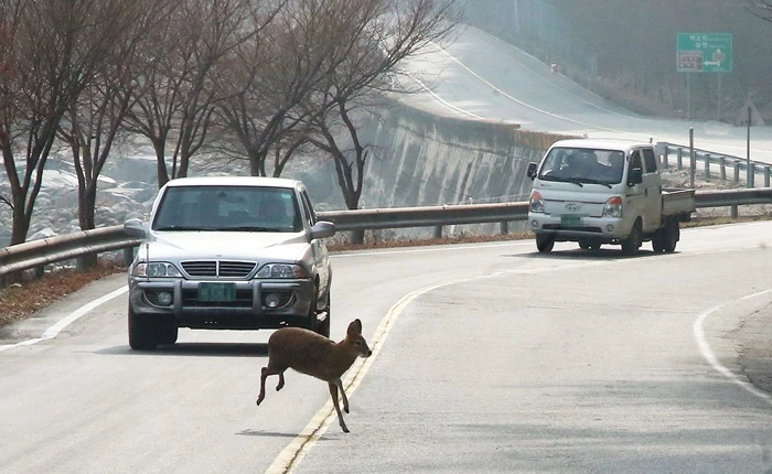 뉴스1