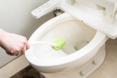 掃除のプロ直伝!キレイが続く「秋の正しいトイレ掃除」の方法