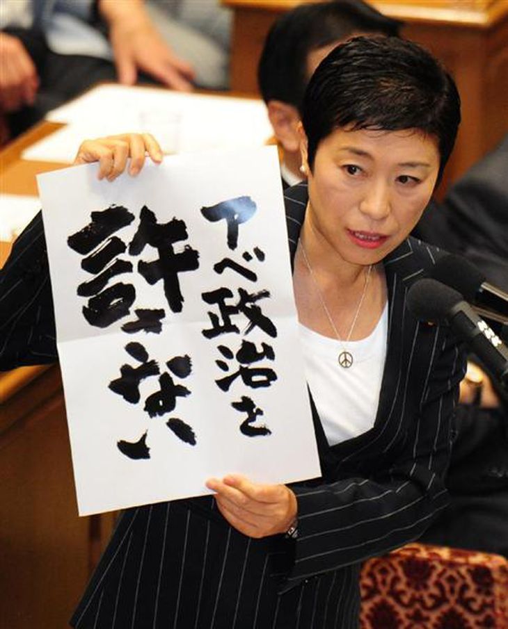 安保法案特別委採決】辻元氏、涙声で「お願いだからやめて!」と絶叫 民主、プラカード掲げ抵抗 - 産経ニュース