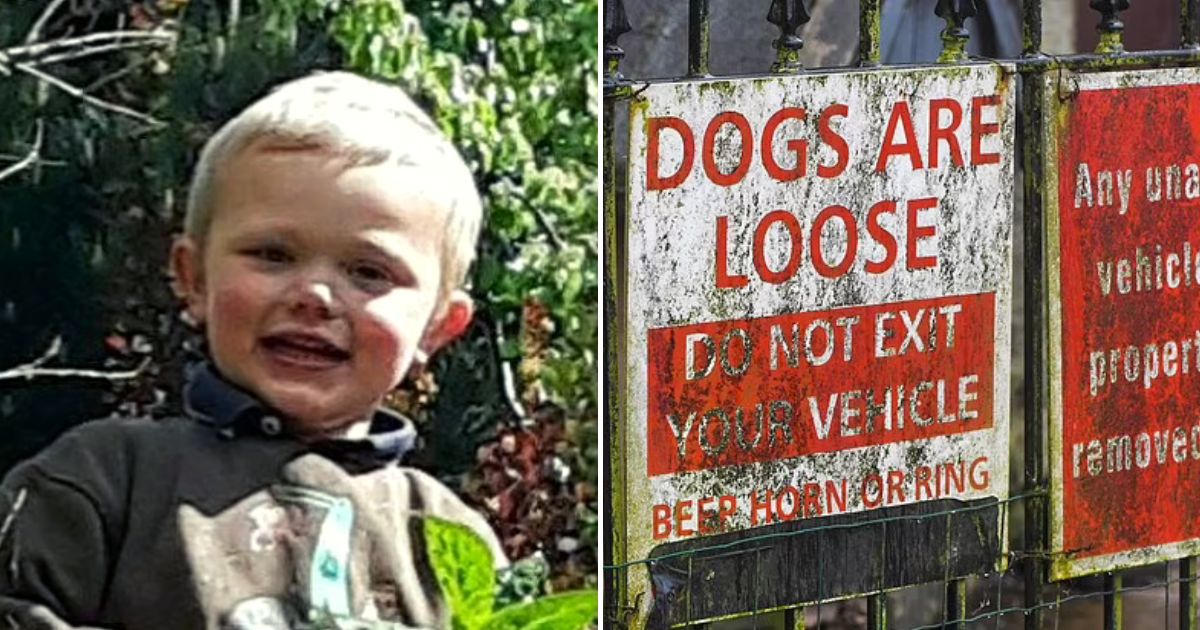 dogs5.jpg - Grieving Family Of 3-Year-Old Boy Who Tragically Died Following A Dog Attack Pay Tribute To 'Happy, Kind, And Caring Little Boy'