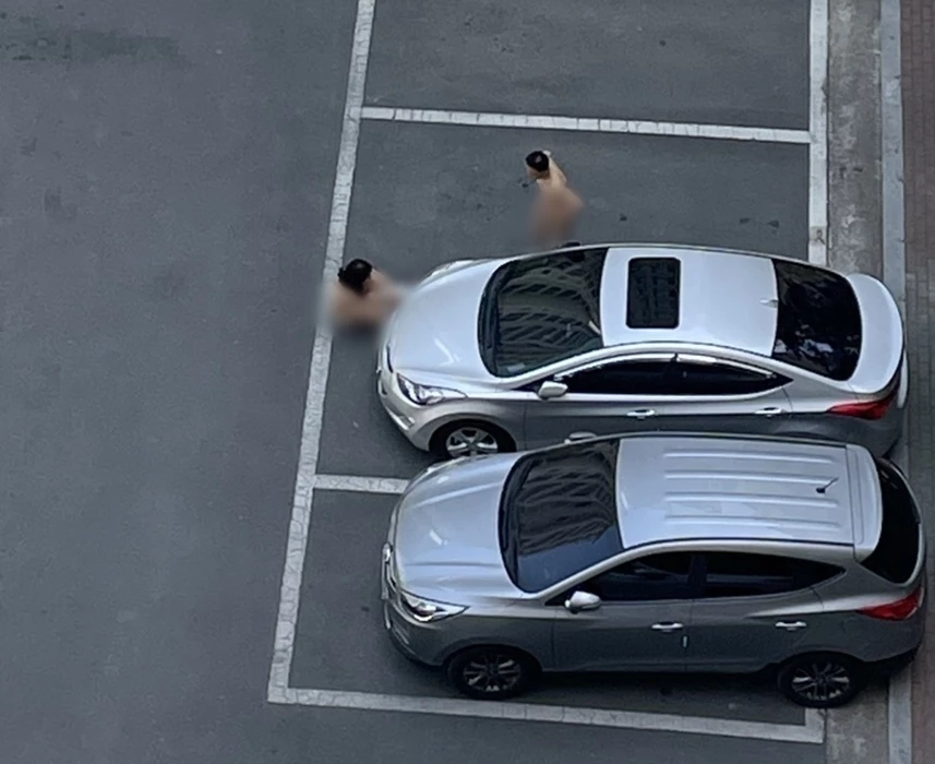 이하 온라인 커뮤니티