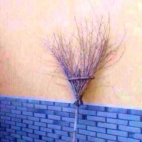 エロくない画像 004