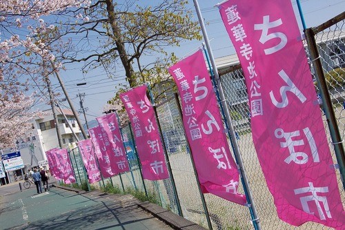 エロくない画像 034