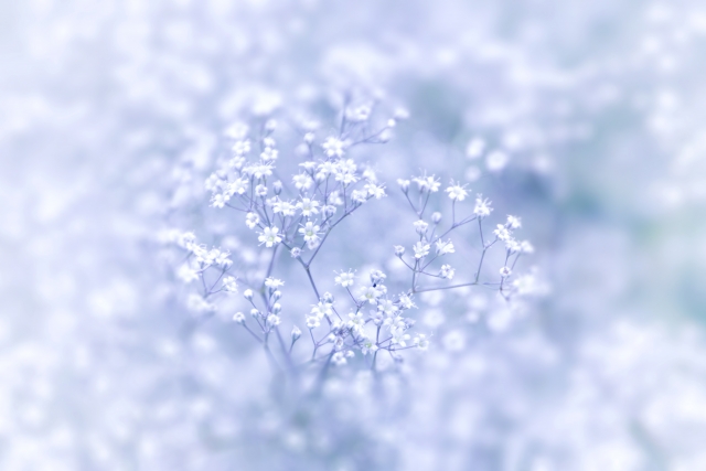 ご冥福」の意味や読み方は?お悔やみとの違いや使い方も調査!