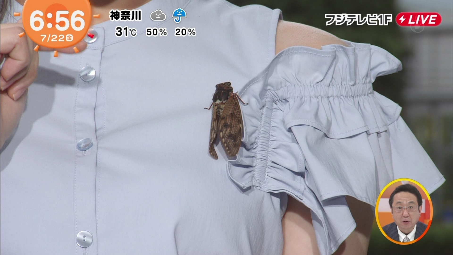 お天気キャスター】谷尻萌、蝉を服に着けて天気を読む!w : GETGOSSIP24