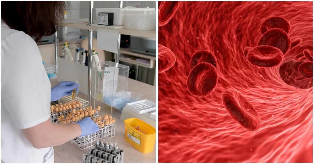 글과 관련 없는 픽사베이 자료사진.