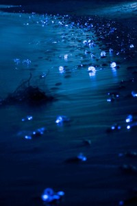 최근 영화 82년생 김지영이 개봉함에 따라 대한민국 사회에서는 또다시 남녀차별이라는 키워드가 부각되고 있다.
앞서 82년생 김지영 영화는 1982년생 여성들의 일상을 담은 영화이다.
이에 따라 최근 각종