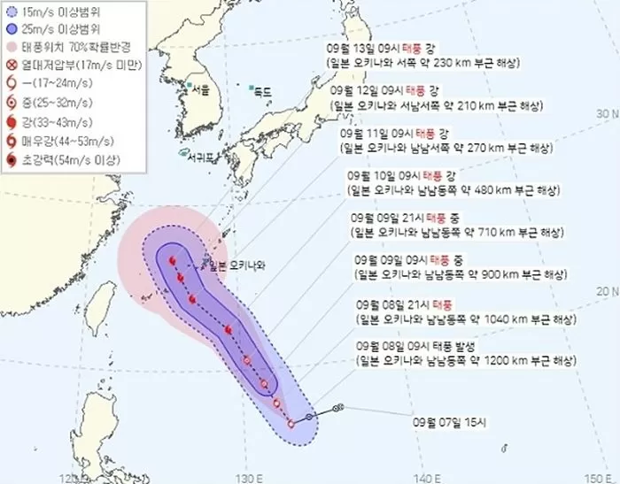 인사이트