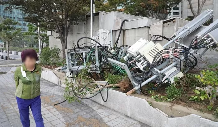 인사이트