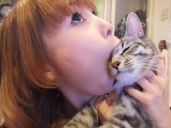 悲報】中川翔子さん、愛猫・マミタスお別れ会を実施 ※献花代500円徴収 | こんなニュース聞きました