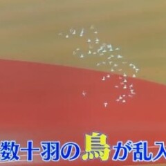 まとめダネ! : ネットで話題の情報まとめ