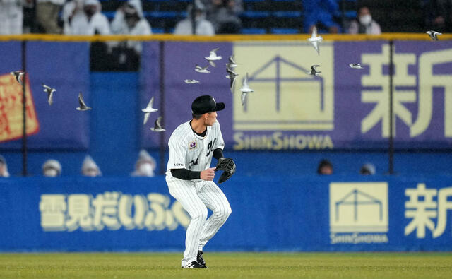 珍ハプニング】ZOZOマリンに数十羽の鳥が居座り中断 照明暗転、バズーカ音も“退場”せず(日刊スポーツ) - Yahoo!ニュース