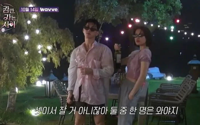 인사이트