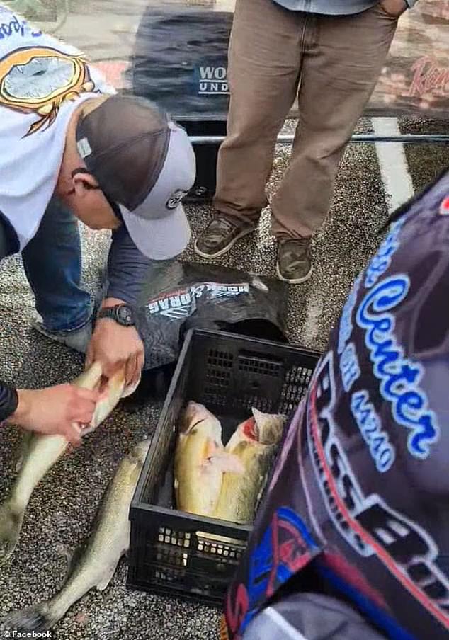 Tournament director Jason Fischer then decided to gut the fish at which point the duo