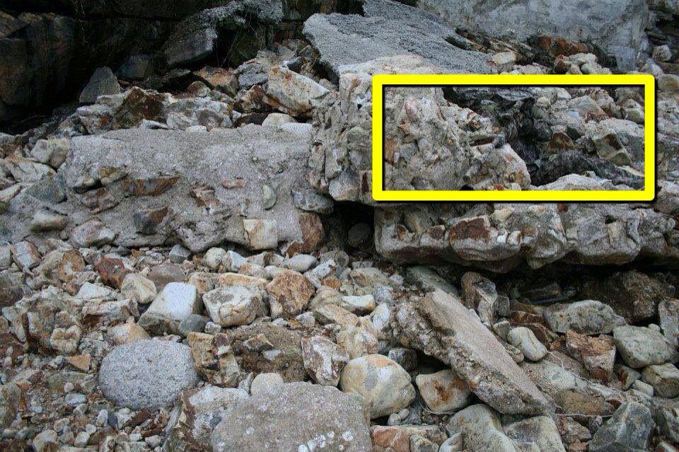 عالم المحركات on Twitter: "قناص متخفي بشكل مذهل جدا .. هل تستطيع ايجاده؟ http://t.co/tXMvct7ja5" / Twitter