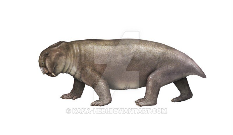 1640a3f59a9142d756557ed674c5a2535343a71902a3bcf585d1c5d09cd12b6b4508b8e6253164e405fca72aac1f0f36223a42e9ec112cedfb8fa8c1f06266bf89ee352943abb9c43bb5f2b70dedd9c4afa9d4ddf5412301d099ed9b064dea7f.jpg 인류 이전 전세계를 장악했던 리스트로사우루스를 알아보자