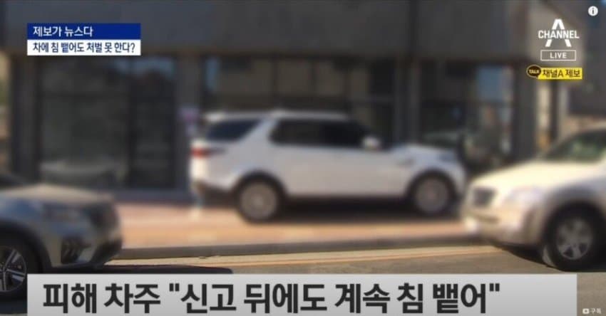 1662315665.jpg 의외로 처벌 안 받는 행위.jpg