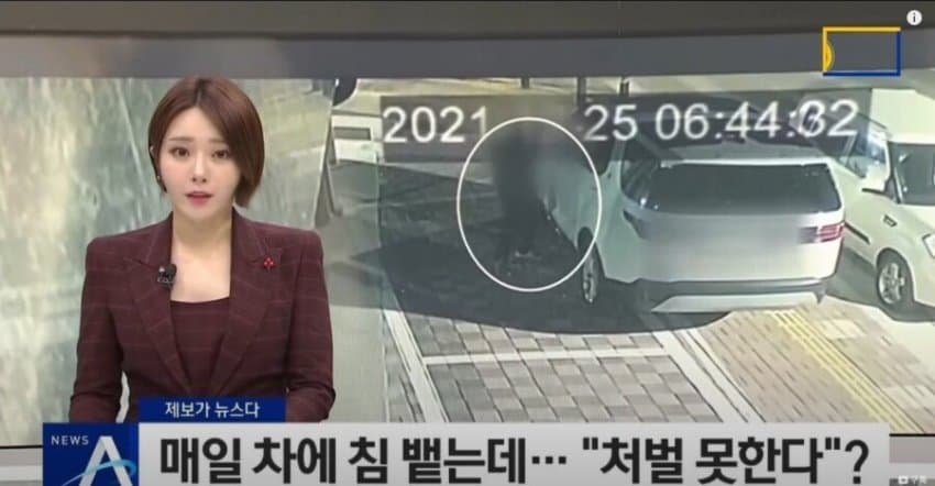 1662315664.jpg 의외로 처벌 안 받는 행위.jpg