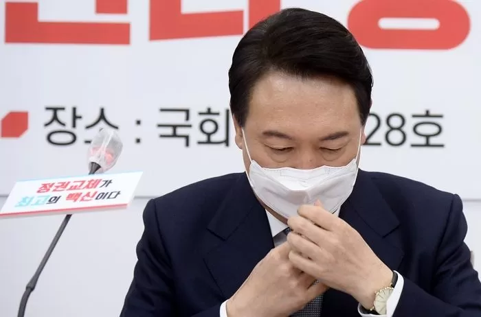 인사이트