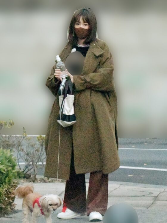 桐谷美玲と三浦翔平のベビーカーでお出かけ姿 愛犬家マナーにも好印象|NEWSポストセブン - Part 3