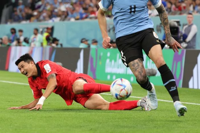 김민재가 지난 24일 오후(한국 시각) 카타르 알라이얀 에듀케이션 시티 스타디움에서 열린 2022 카타르 월드컵 조별리그 H조 1차전 대한민국과 우루과이의 경기에서 미끄러지며 넘어지고 있다.