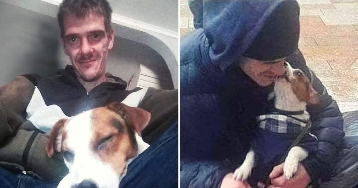 jon4.jpg - Homeless Man Made A Final Bed For His Loyal Jack Russell Only Hours Before Dying In The Night