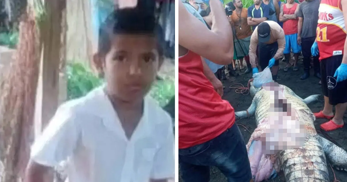 d152.jpg - BREAKING: 8-Year-Old Boy DIES After Being Mauled By GIANT Crocodile In Front Of His Parents