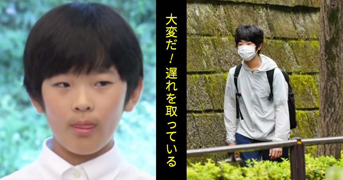 e696b0e8a68fe38397e383ade382b8e382a7e382afe3838888.png?resize=1200,630 - 悠仁さま、成績不振説。将来の天皇として本人も焦り気味…「親の期待がデカすぎじゃ」「誰が東大にこだわってるのか？」