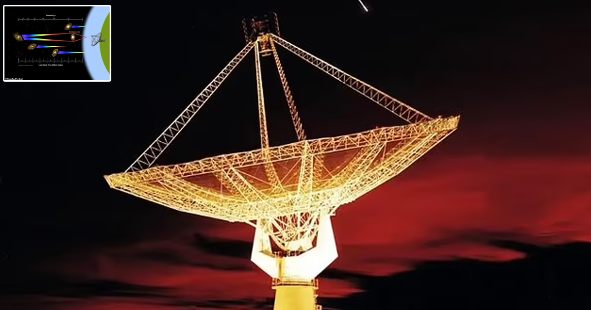 Man On Safari Trip Risked His Arm After Trying To Stroke A Lion Small