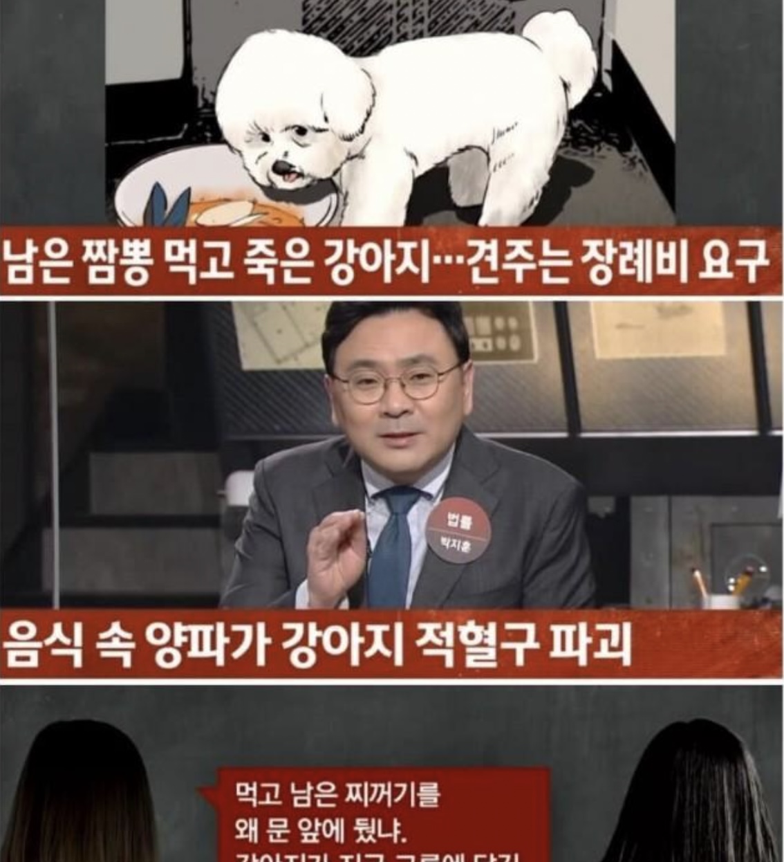 0 12.jpg - 뉴스까지 나온 남은 짬뽕 훔쳐먹고 죽은 개 논란..