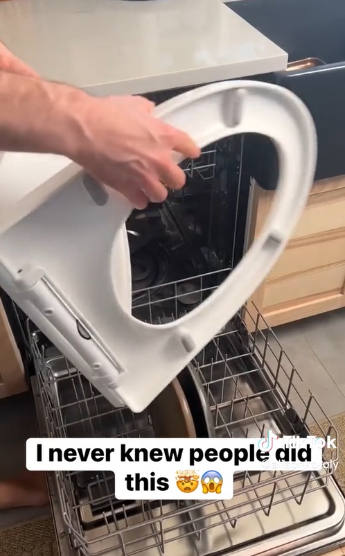 ‘I Wash My Toilet Seat In The Dishwasher – Some People Think It’s Gross ...