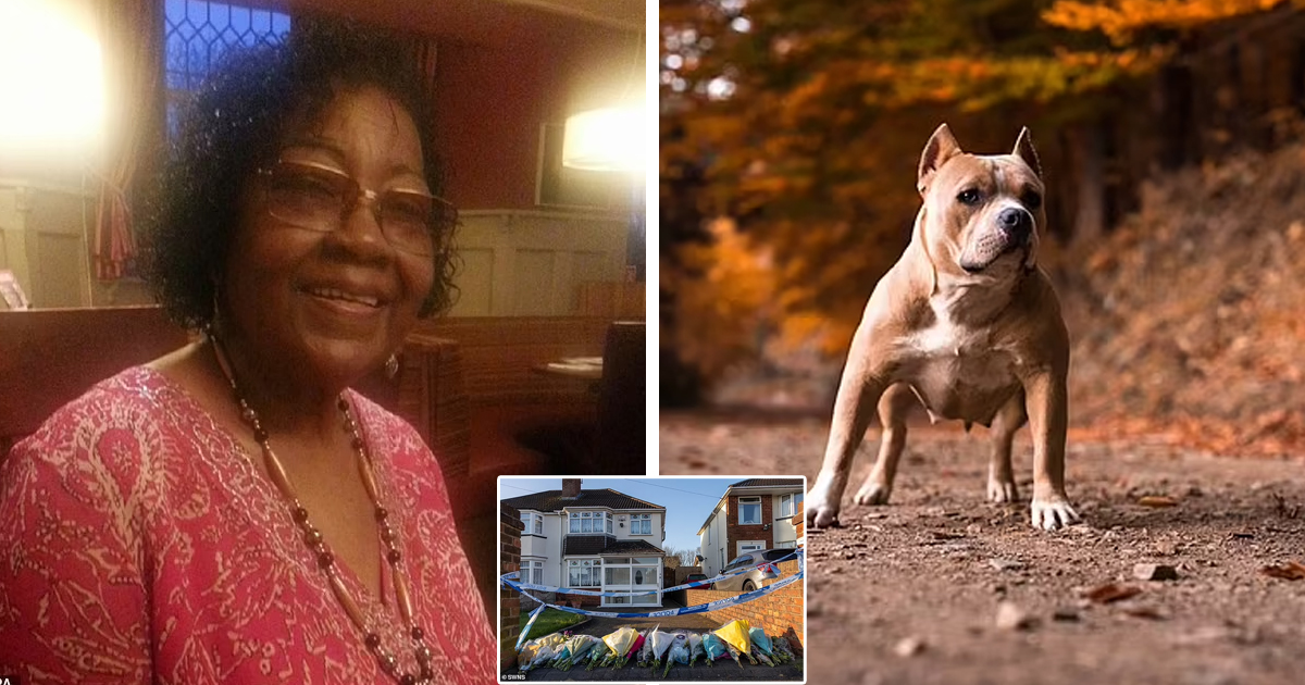 d76.jpg - BREAKING: Giant American Bull Dogs MAUL Loving 'Great Grandmother' To DEATH In Her Own Garden