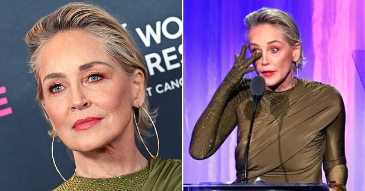 stone5.jpg - JUST IN: Sharon Stone, 65, Breaks Down In Tears After Revealing How She LOST Half Her Fortune In A Banking Collapse