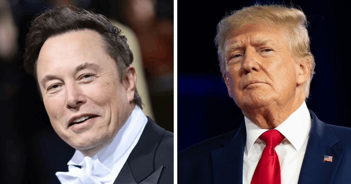 t1 11 1.png - BREAKING: Elon Musk Predicts Donald Trump Will WIN The US Re-Election By 'Landslide Victory' If ARRESTED
