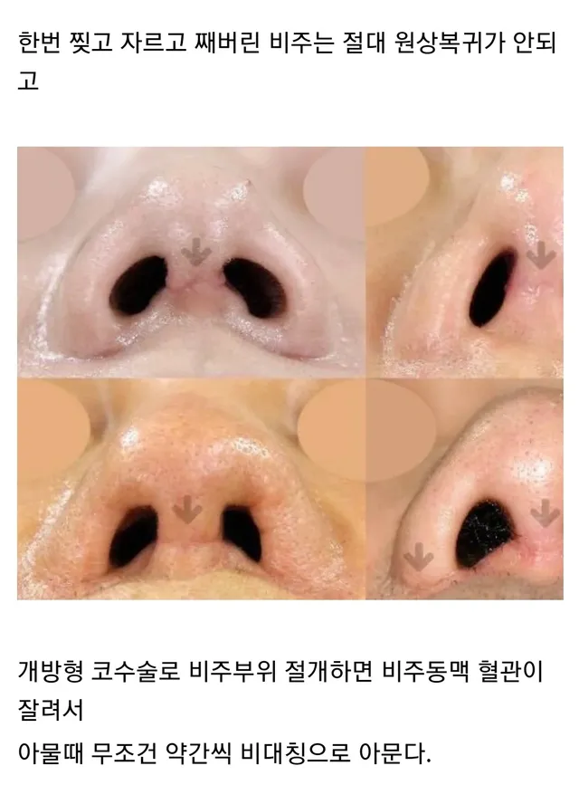 16808772630461.webp