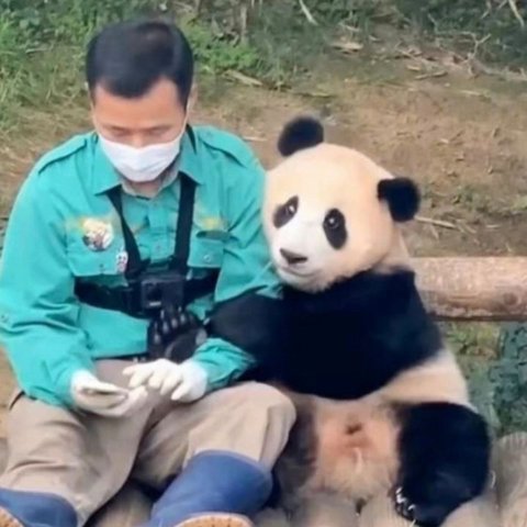 44630653d8bdff1815c0adcac219f65e.jpeg 유치원 선생님 프로필명 이거 어떻게 보이시나요?