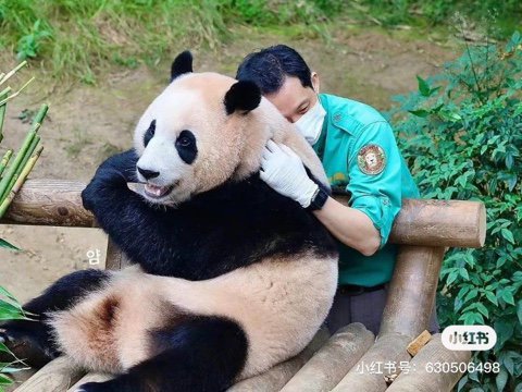 ea4312053cd573a6f2f8a4669f54e590.jpeg 유치원 선생님 프로필명 이거 어떻게 보이시나요?