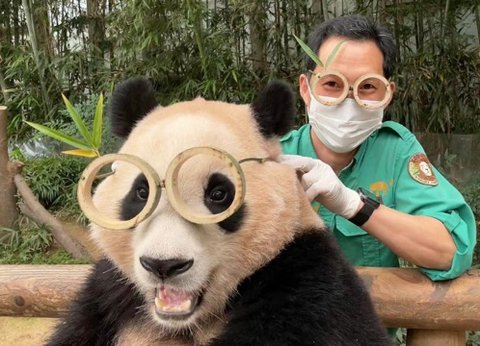 d57448472fea3951532d26dace5daaa8.jpeg 유치원 선생님 프로필명 이거 어떻게 보이시나요?