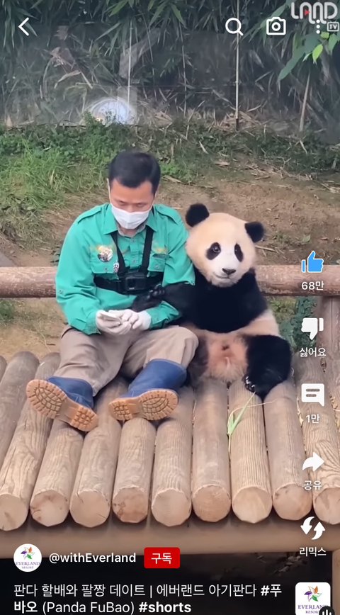 cd0923d0efd9e5949063f051f05238b7.jpeg 유치원 선생님 프로필명 이거 어떻게 보이시나요?