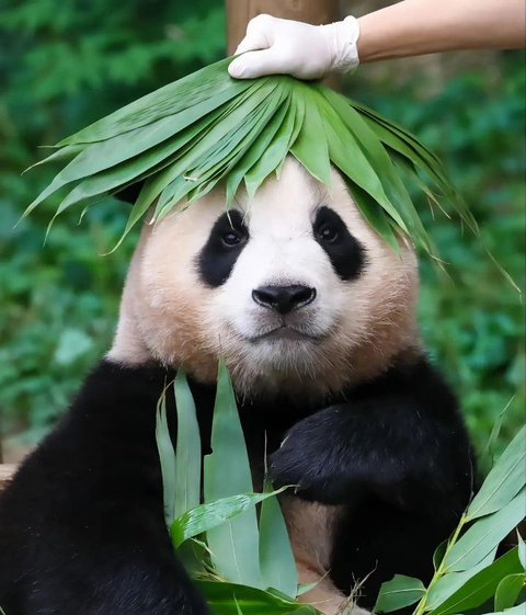 38ce92ecffcc89d015cd03e1bac2bcc2.jpeg 유치원 선생님 프로필명 이거 어떻게 보이시나요?