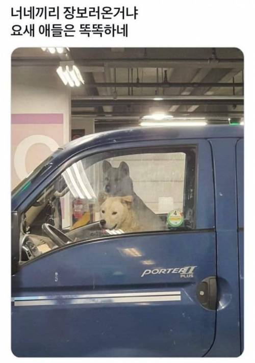 너네끼리 장보러 온거냐